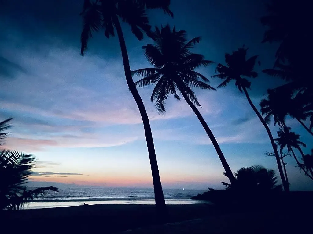 Salt Life Marari Beach Villa Mararikulam 0*,  Indie